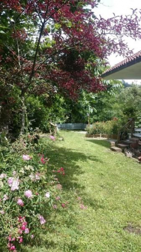 Hotels in Carrodano